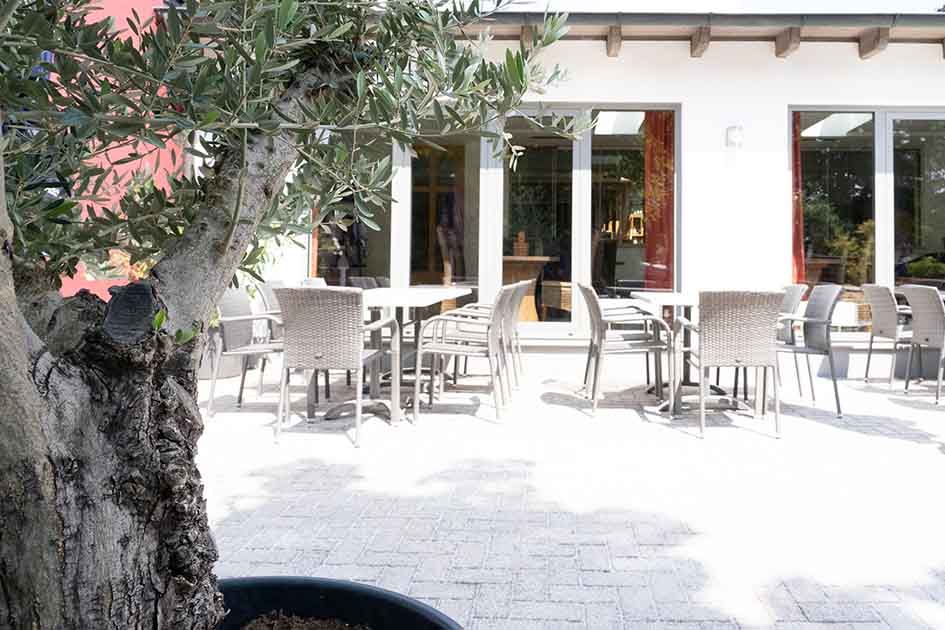 Biergarten-Schiefeneder-Olivenbaum